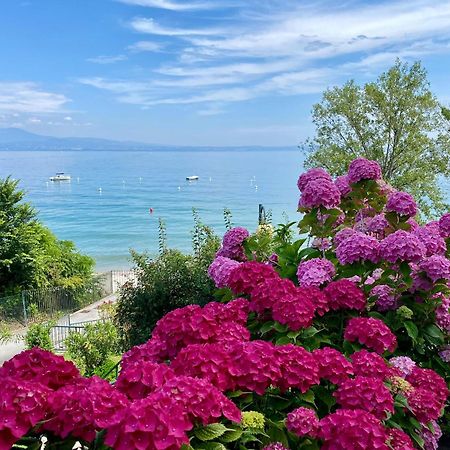 Front Lake Amazing View Manerba del Garda Eksteriør bilde
