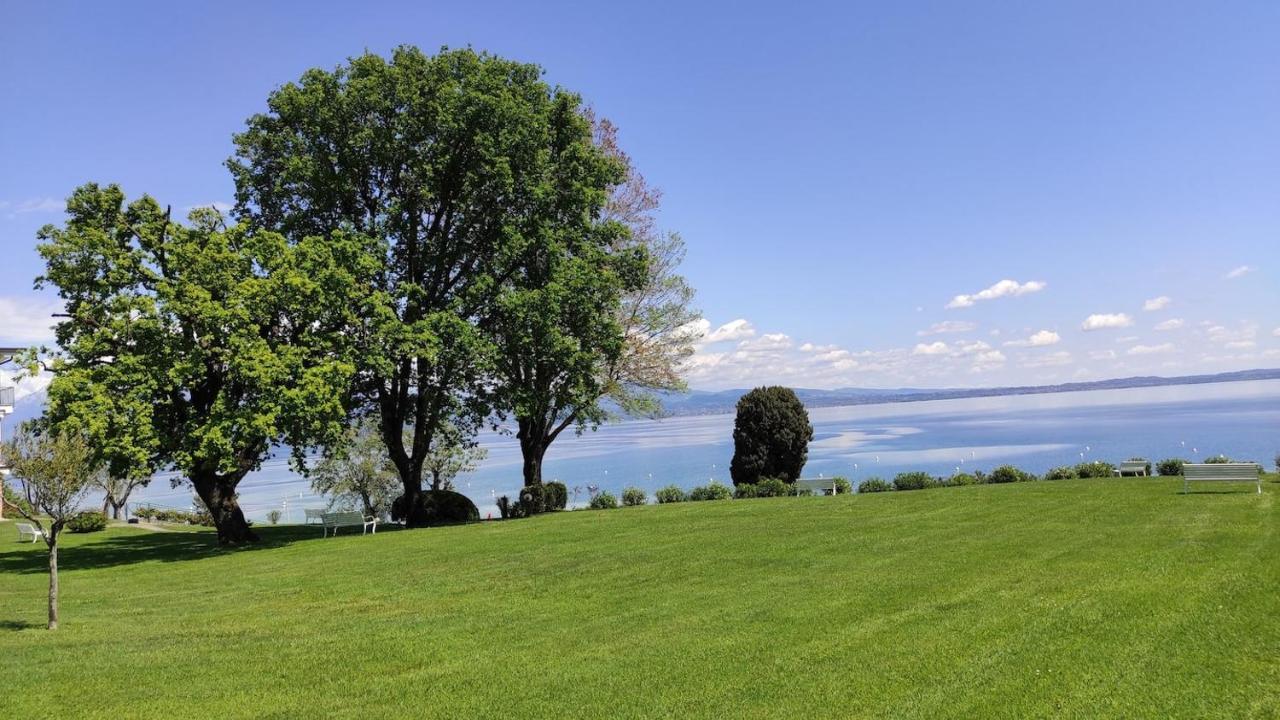 Front Lake Amazing View Manerba del Garda Eksteriør bilde